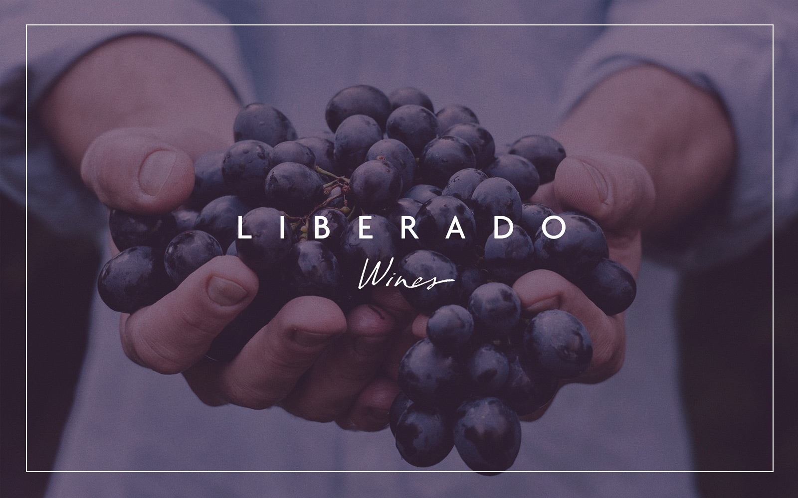 Branding Liberado Wines